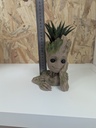 Petit Groot!