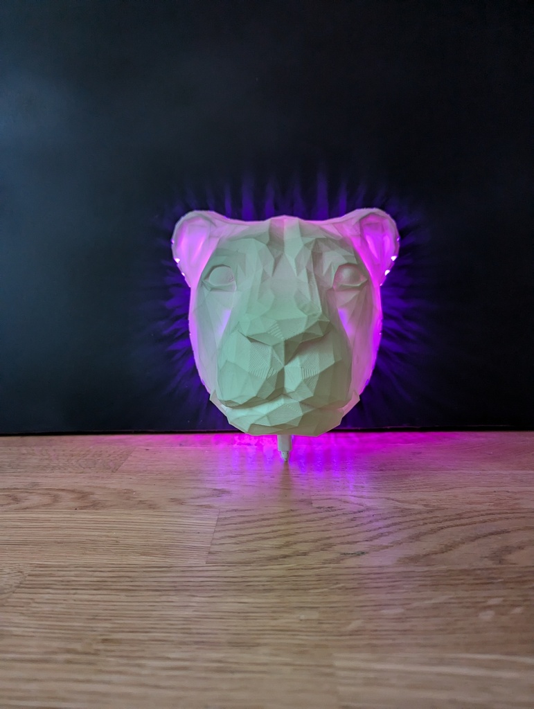 Tête d'ours