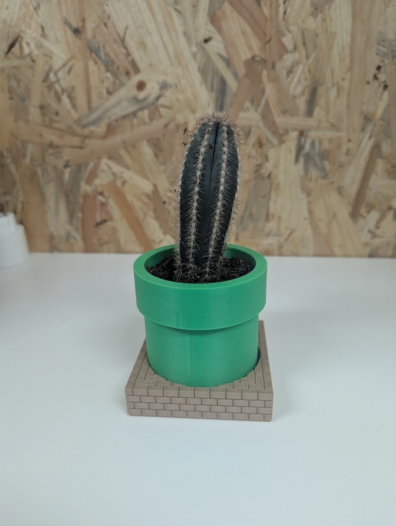 Grand cactus