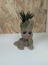 Petit Groot!