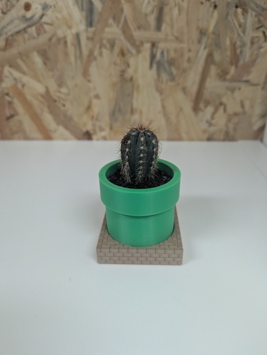 Petit cactus
